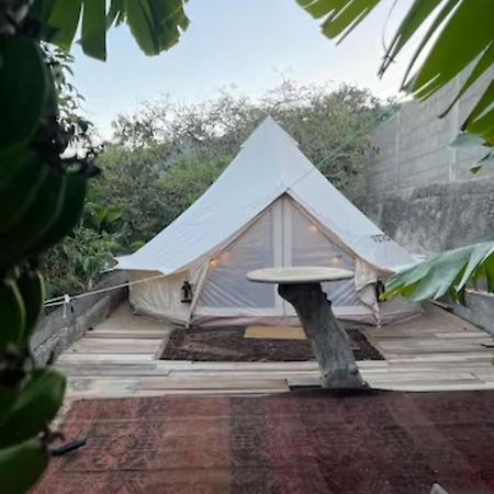 Yurt In Avocado Garden Hotell Güimar Eksteriør bilde