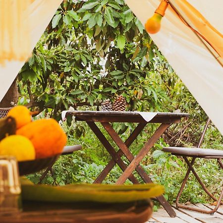 Yurt In Avocado Garden Hotell Güimar Eksteriør bilde