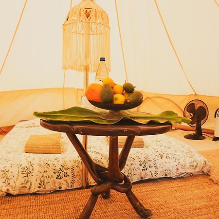 Yurt In Avocado Garden Hotell Güimar Eksteriør bilde