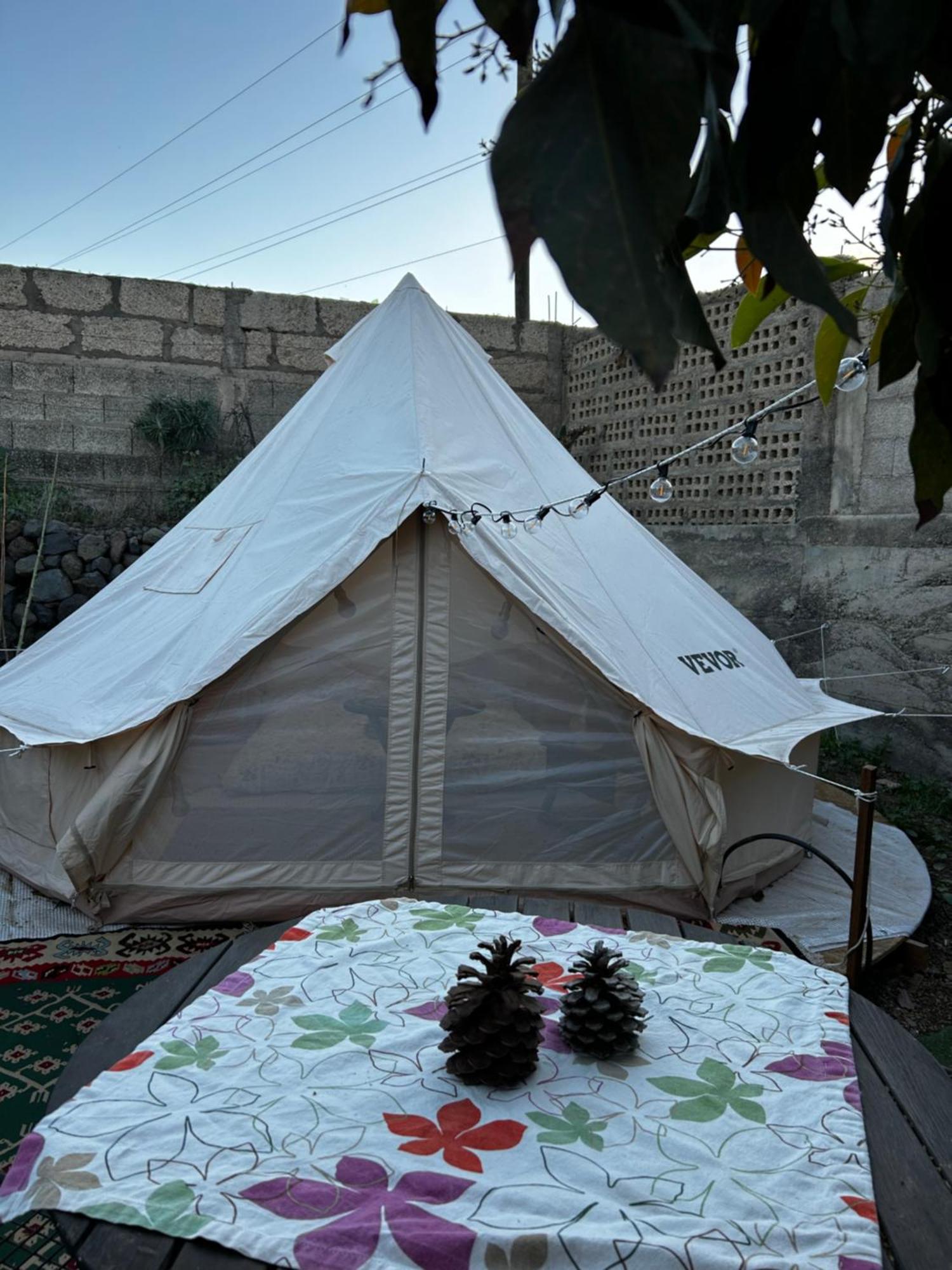 Yurt In Avocado Garden Hotell Güimar Eksteriør bilde