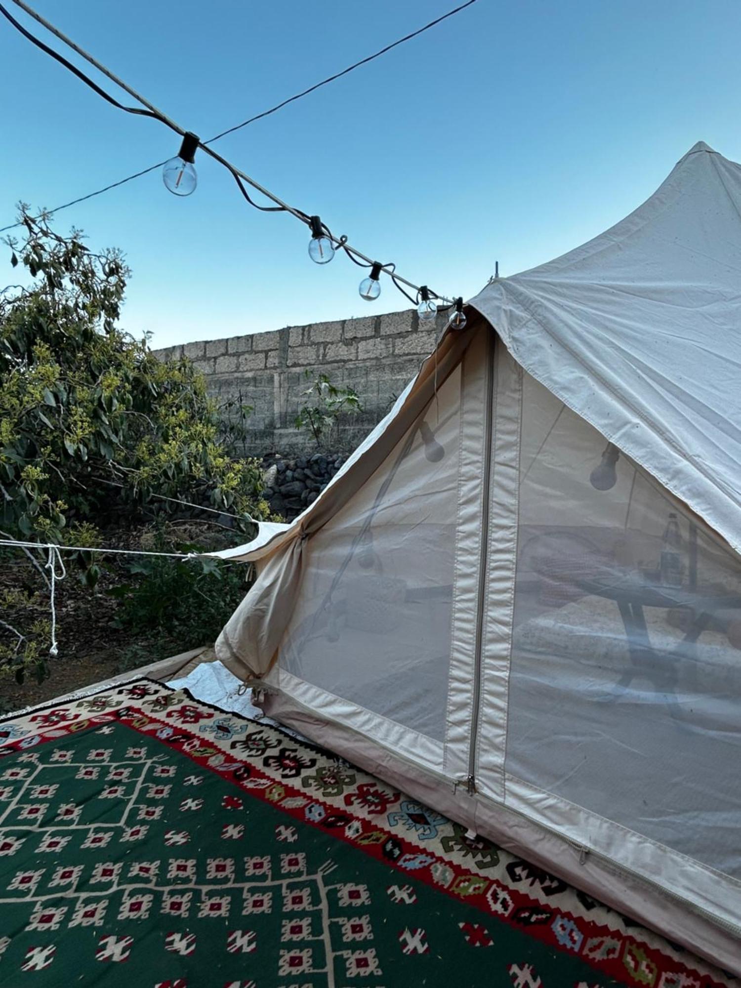 Yurt In Avocado Garden Hotell Güimar Eksteriør bilde