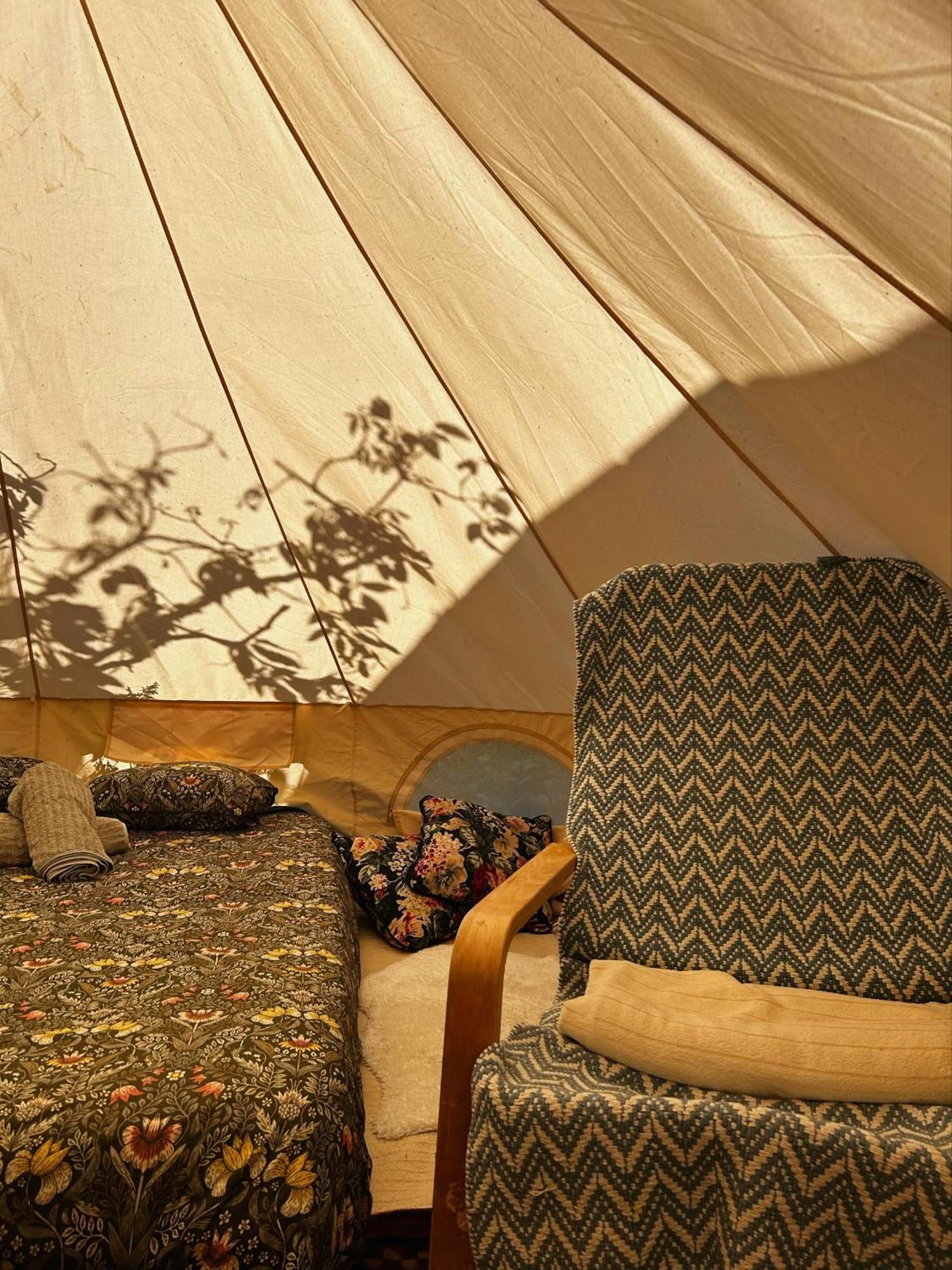 Yurt In Avocado Garden Hotell Güimar Eksteriør bilde