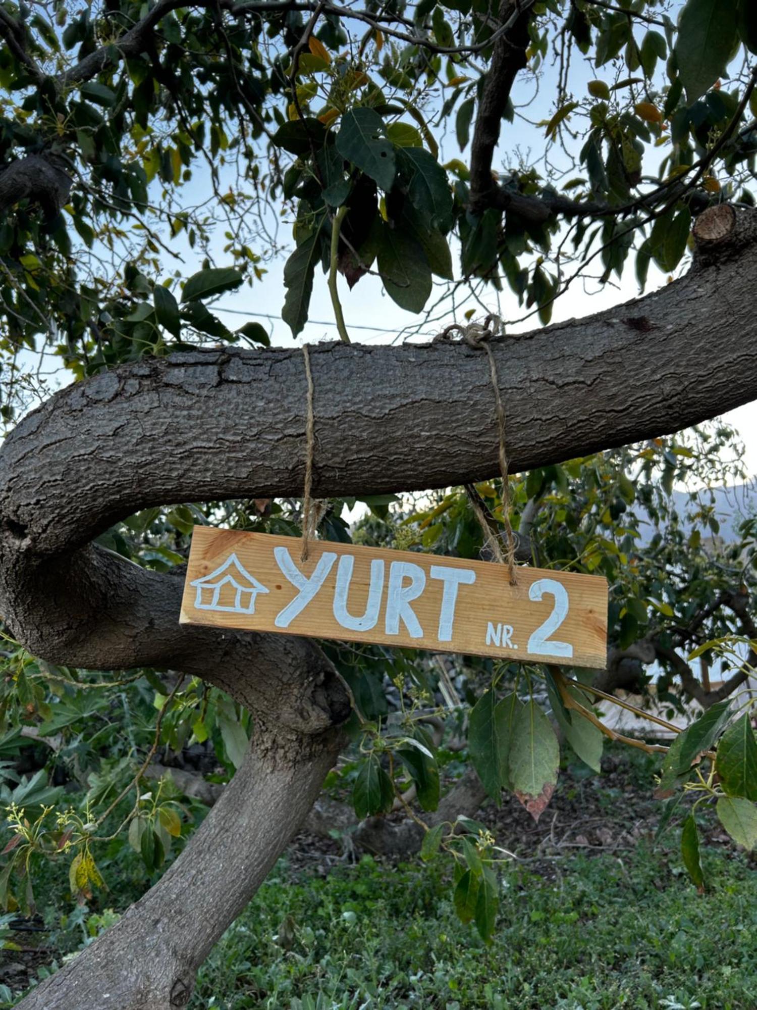 Yurt In Avocado Garden Hotell Güimar Eksteriør bilde