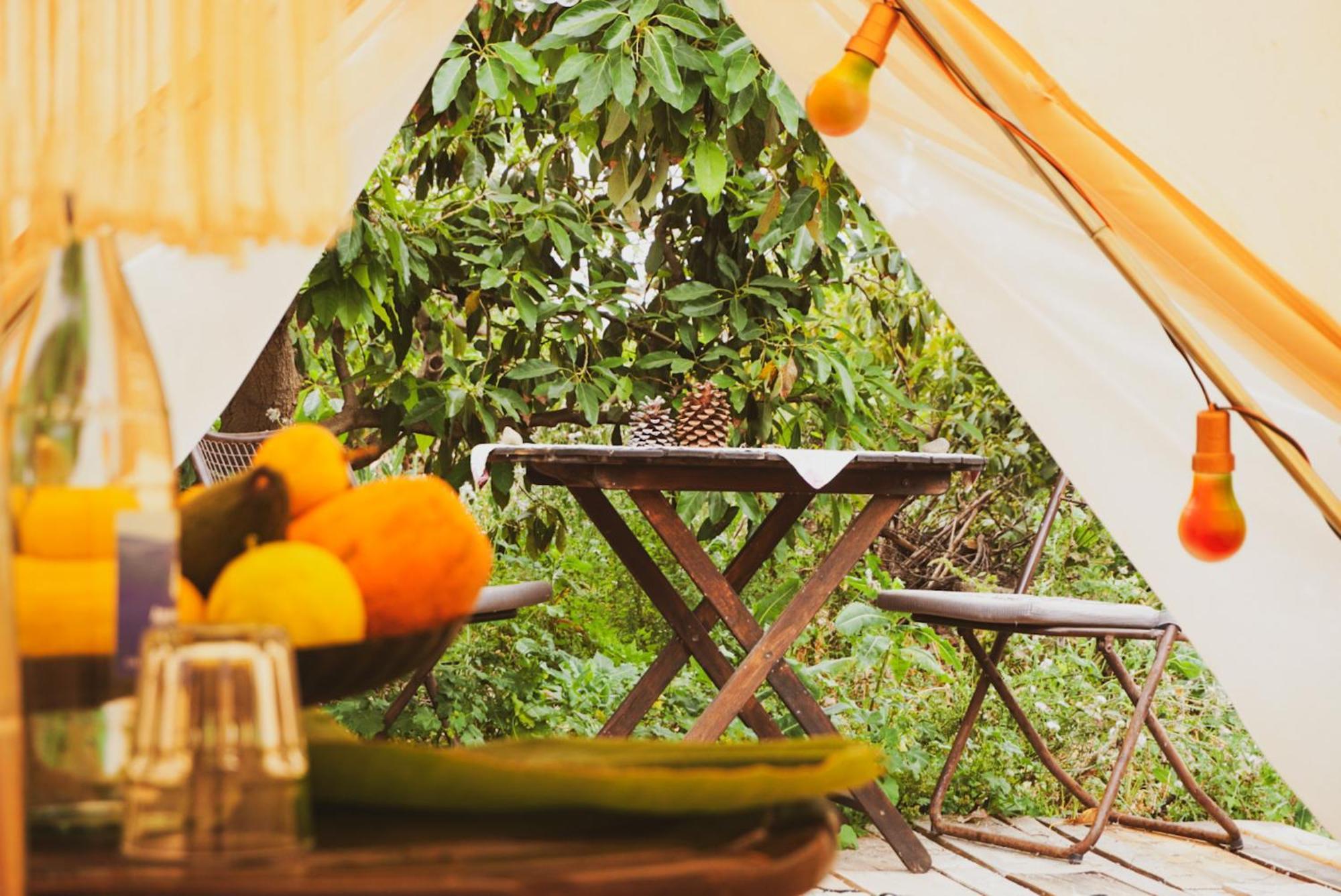 Yurt In Avocado Garden Hotell Güimar Eksteriør bilde
