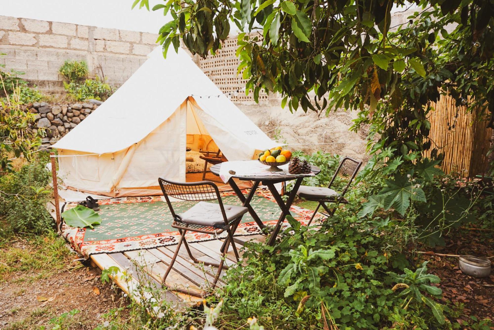 Yurt In Avocado Garden Hotell Güimar Eksteriør bilde